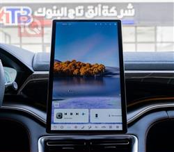 بي واي دي سونغ بلس